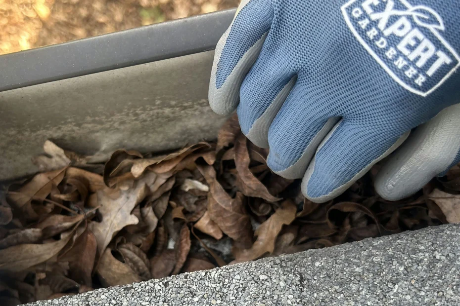 Gutter Cleaning Center Point